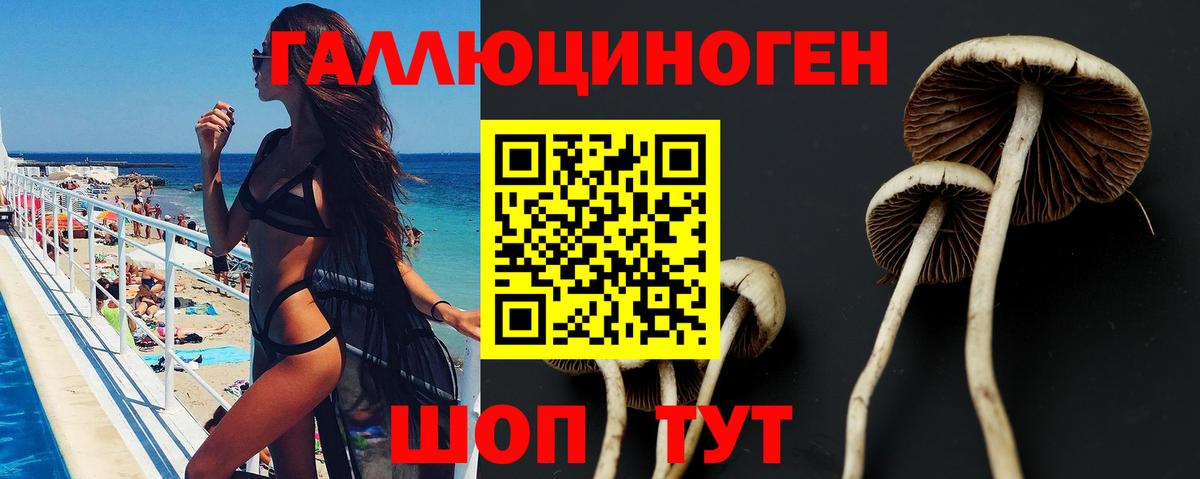 Псилоцибиновые грибы мицелий Мичуринск